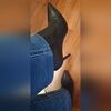 stilettoboots